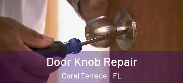  Door Knob Repair Coral Terrace - FL