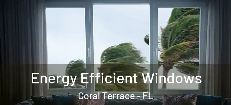  Energy Efficient Windows Coral Terrace - FL