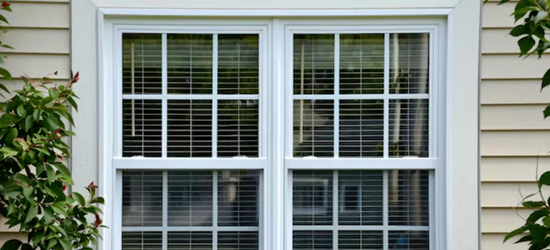 Custom Double Hung Windows in Coral Terrace, FL