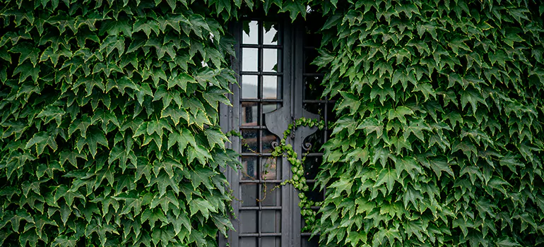 Garden Gate Repair in Coral Terrace, FL
