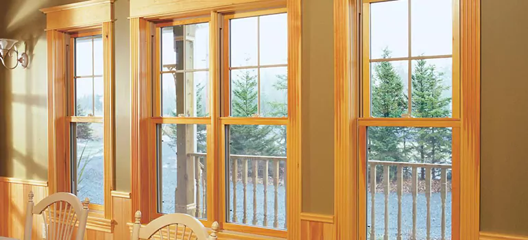 Government Incentives For Replacement Windows in Coral Terrace, FL