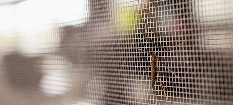 Repair Mosquito Mesh For Windows in Coral Terrace, FL
