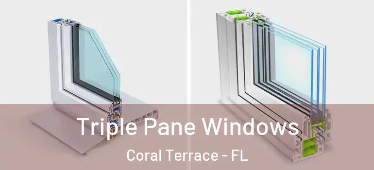  Triple Pane Windows Coral Terrace - FL