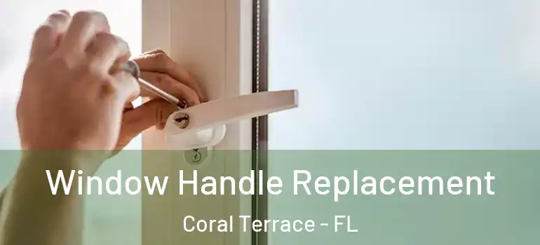  Window Handle Replacement Coral Terrace - FL
