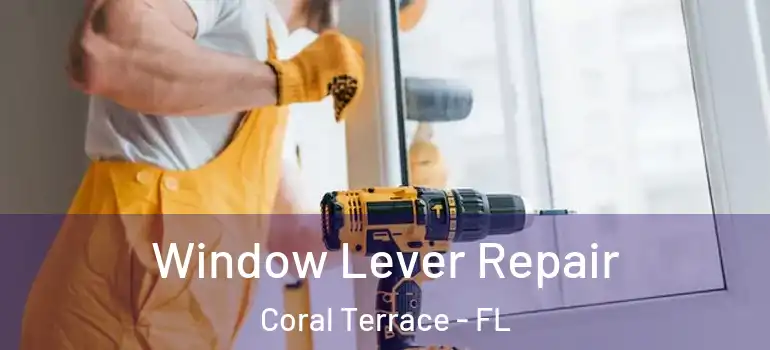  Window Lever Repair Coral Terrace - FL