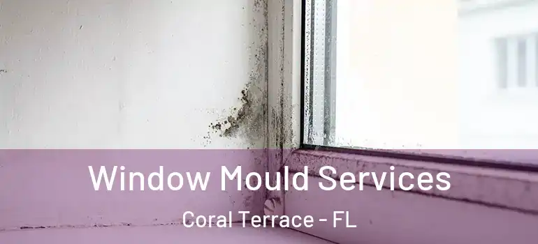  Window Mould Services Coral Terrace - FL