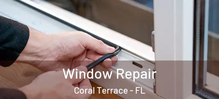  Window Repair Coral Terrace - FL